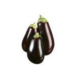 Eggplant Big Size F1 Hybrid Pack of 1kg